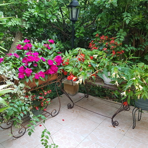 Marie Bernadette BOTELLA Marseille, 