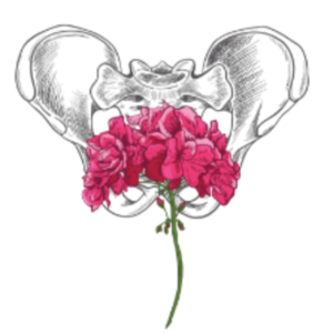 Sara CACHARRON Saint-André, , Périnéologie Féminine, Prise en charge des femmes en Pré & Post Partum, Sexologie Féminine, Douleurs (algies) pelviennes chroniques, Thérapeutiques manuelles & ostéopathiques en Périnéologie, Gymnastiques abdominales, Conseils nutritionnels / Micronutrition, Traitement des cicatrices