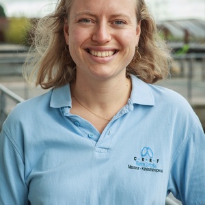 Marion SARTORIUS Marcq-en-Barœul, , Gymnastiques abdominales