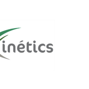 Anne-Sophie PERROCHEAU Tampon, 