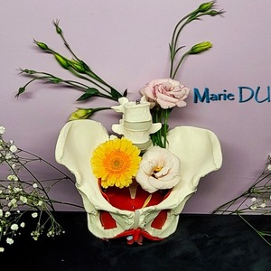 Marie DUMOULIN Pierre-Bénite, , Gymnastiques abdominales