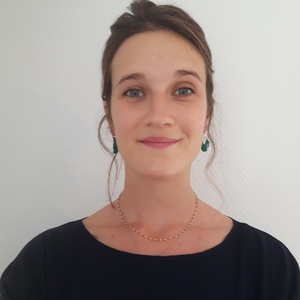 Clémence CAMPAGNE Paris 6, , Kinésithérapie & Cancer du Sein, Traitement des cicatrices